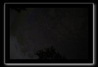 IMG_8910 (1)