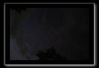 IMG_8919 (1)