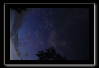 IMG_8949 (1)