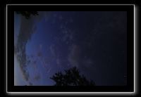 IMG_8950 (1)