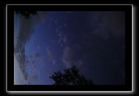 IMG_8954 (1)