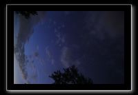 IMG_8955