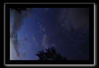 IMG_8957 (1)