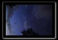 IMG_8959 (1)