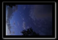 IMG_8963 (1)