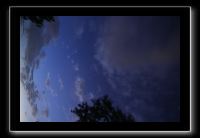 IMG_8966 (1)