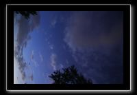 IMG_8967 (1)