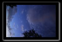 IMG_8972 (1)
