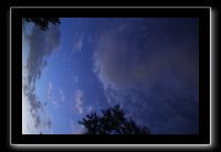 IMG_8973 (1)