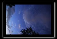 IMG_8976 (1)