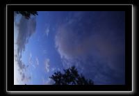 IMG_8977 (1)