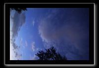 IMG_8978 (1)