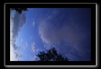 IMG_8979 (1)