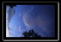 IMG_8980