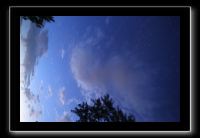 IMG_8984 (1)