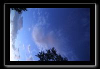 IMG_8990 (1)