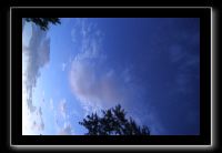 IMG_8992 (1)