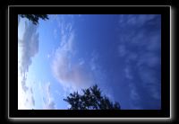 IMG_8997 (1)