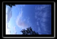 IMG_9000 (1)