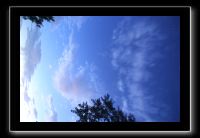 IMG_9004 (1)