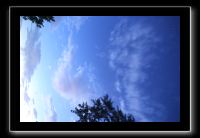 IMG_9005 (1)