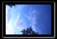 IMG_9010 (1)