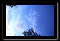 IMG_9012 (1)