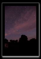 IMG_3956