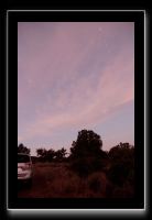 IMG_3969
