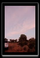 IMG_3973