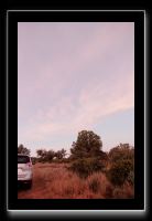 IMG_3976