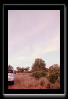 IMG_3979