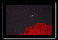 IMG_3630