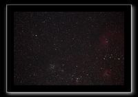 Starfishx251217