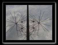 SANY0054