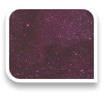 collage image title