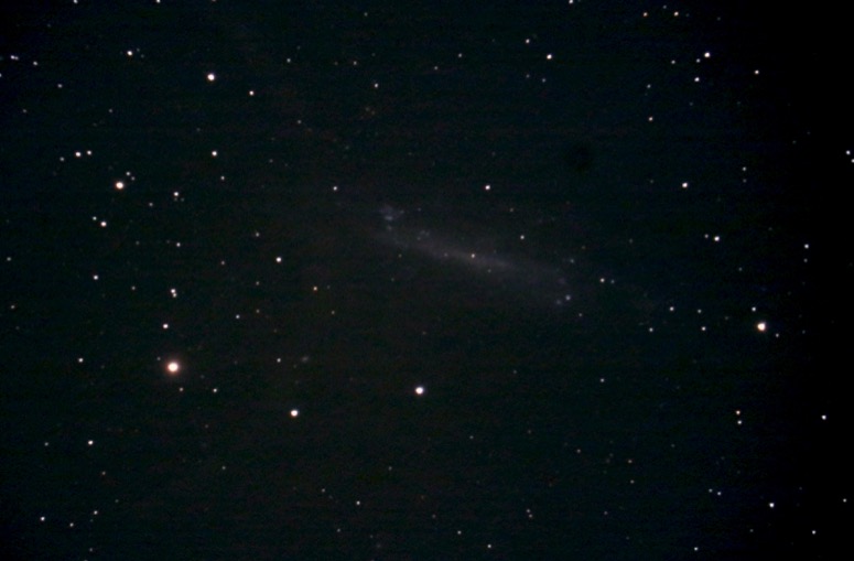 NGC4236